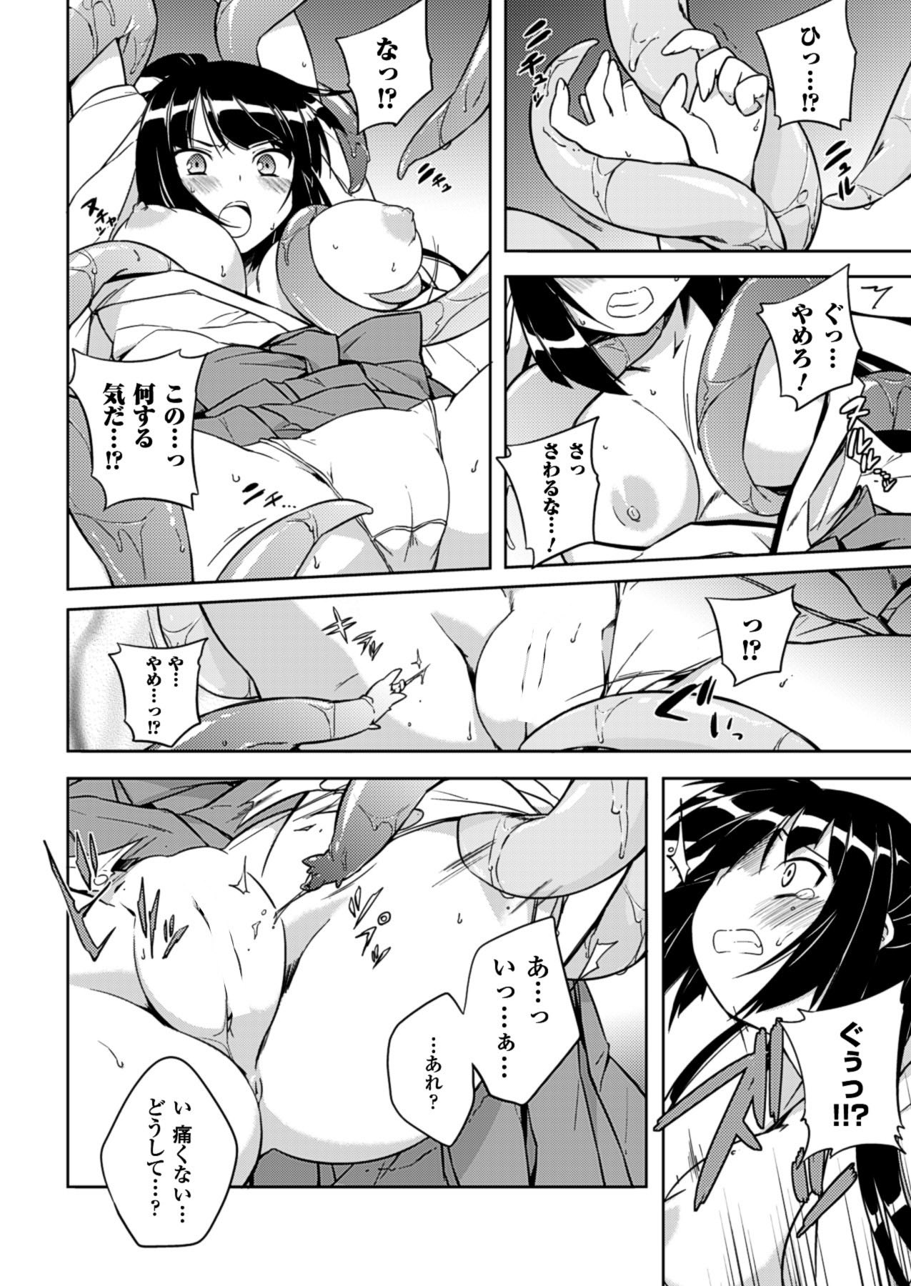 2Dドリームマガジン2010-12Vol。 55