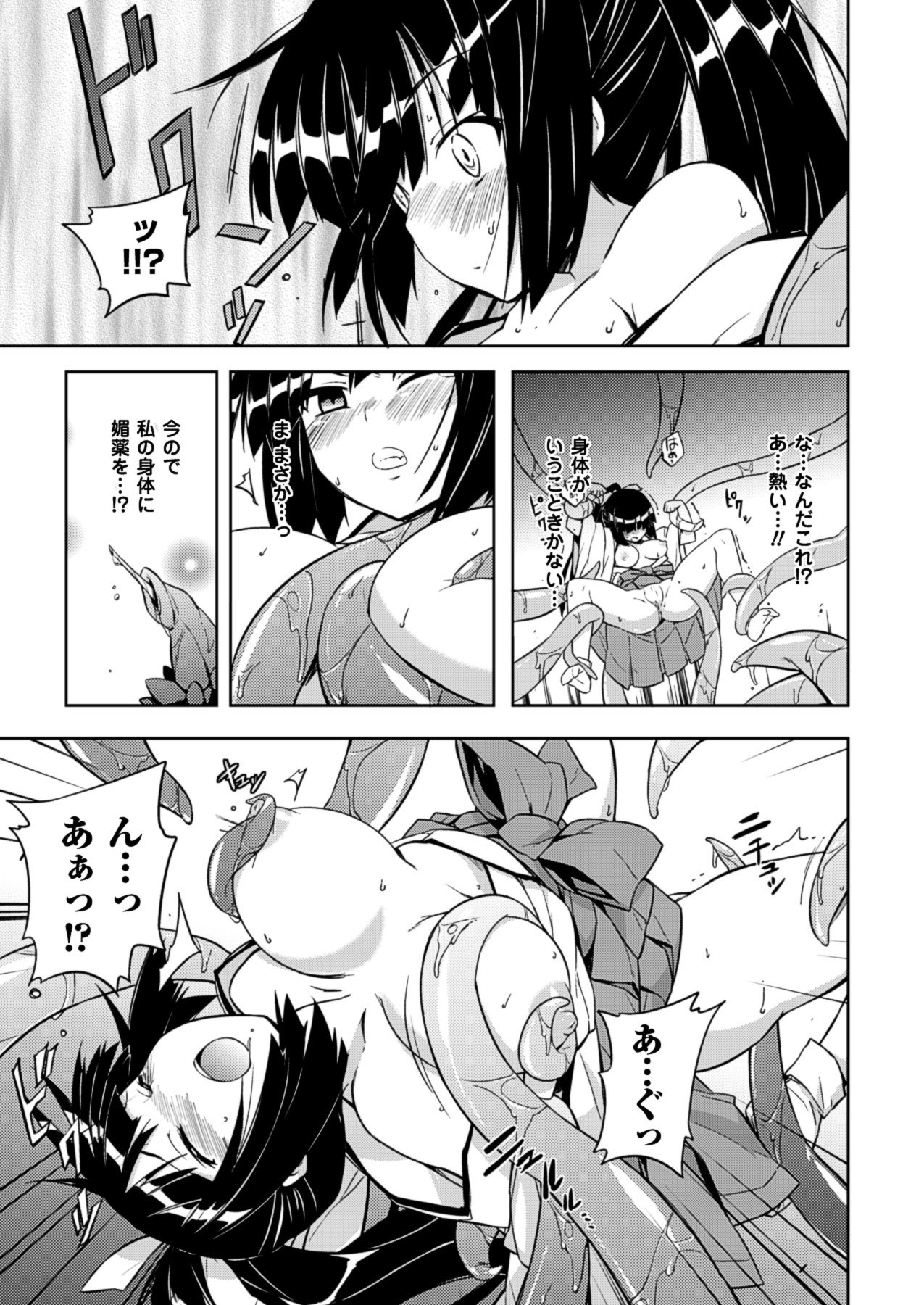 2Dドリームマガジン2010-12Vol。 55