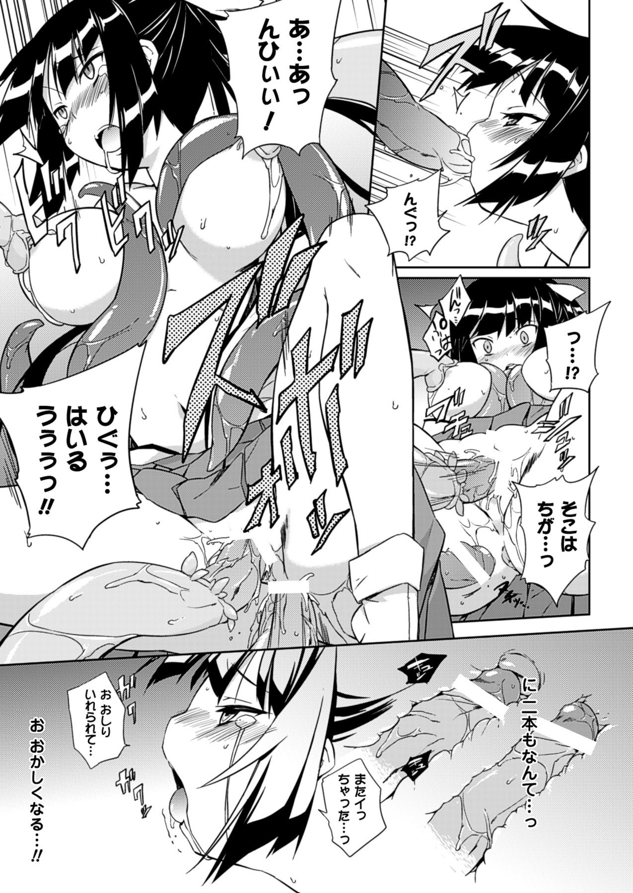 2Dドリームマガジン2010-12Vol。 55