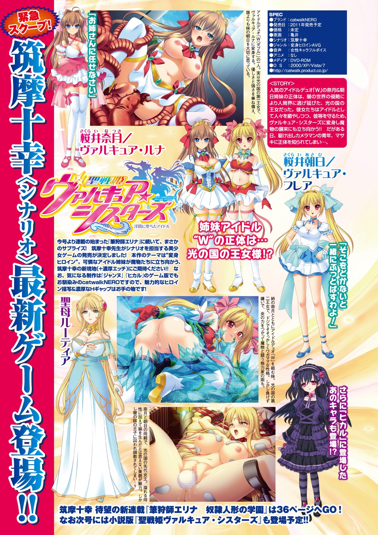 2Dドリームマガジン2010-12Vol。 55