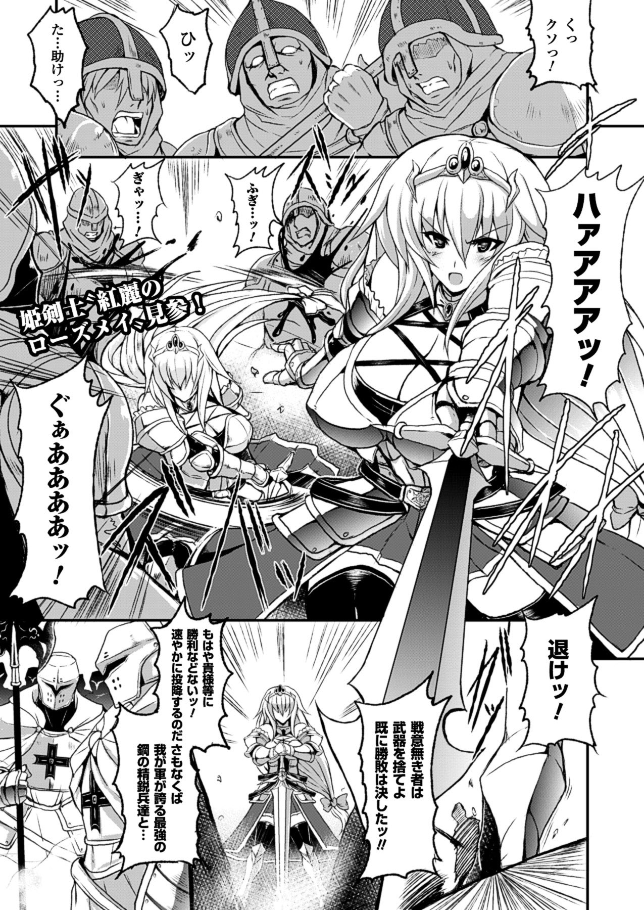 2Dドリームマガジン2010-12Vol。 55