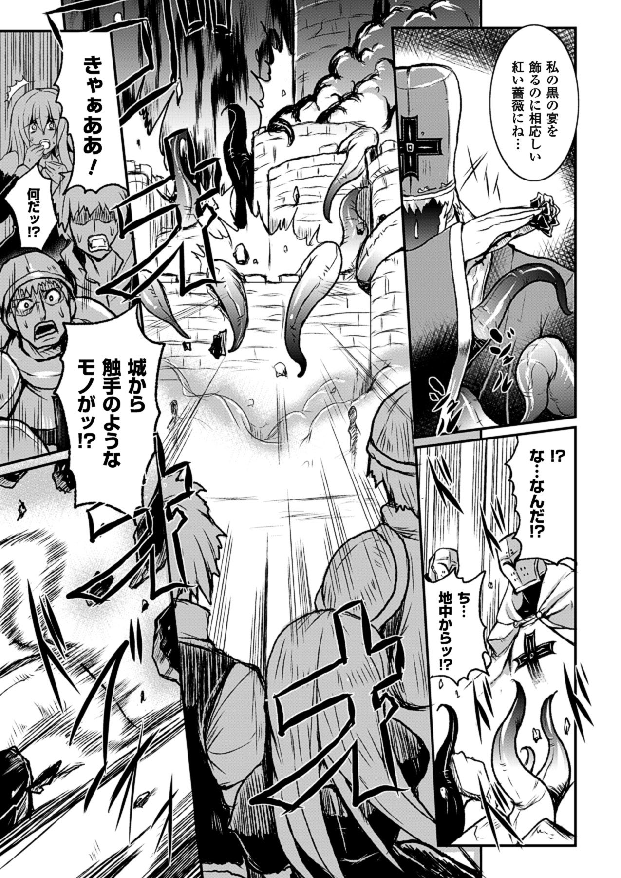 2Dドリームマガジン2010-12Vol。 55