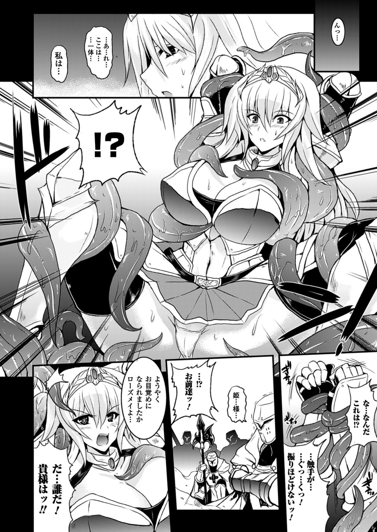 2Dドリームマガジン2010-12Vol。 55