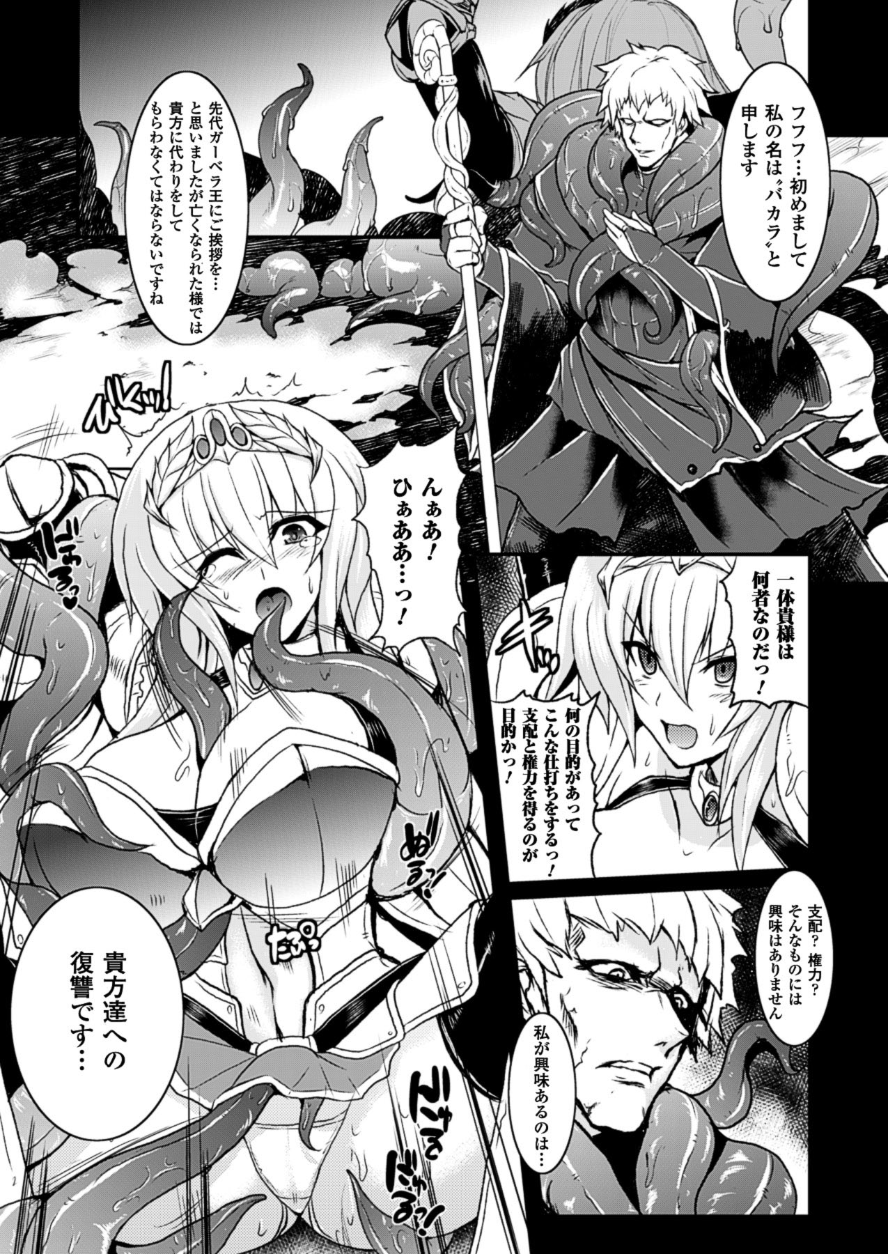 2Dドリームマガジン2010-12Vol。 55