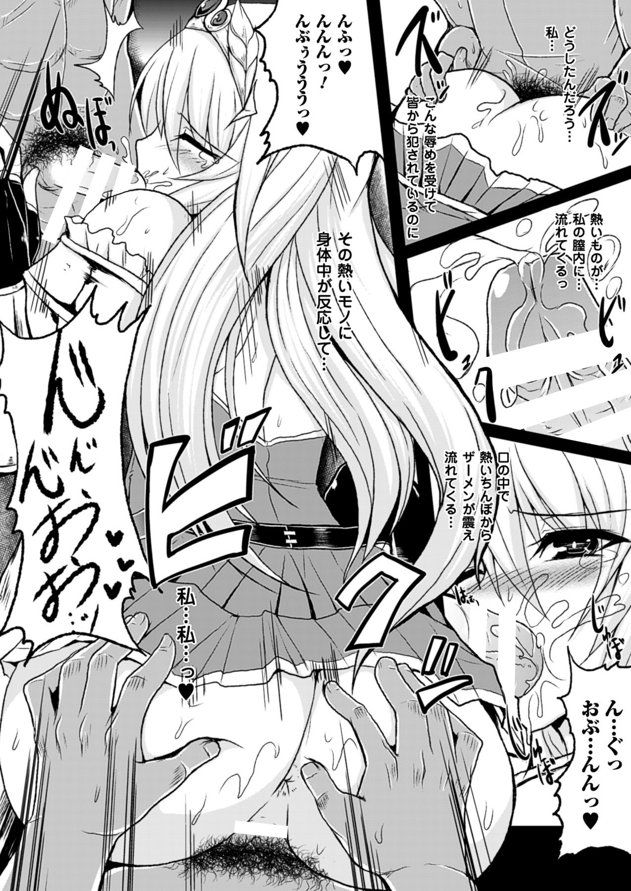 2Dドリームマガジン2010-12Vol。 55
