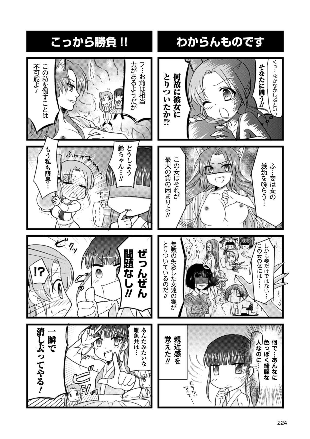 2Dドリームマガジン2010-12Vol。 55