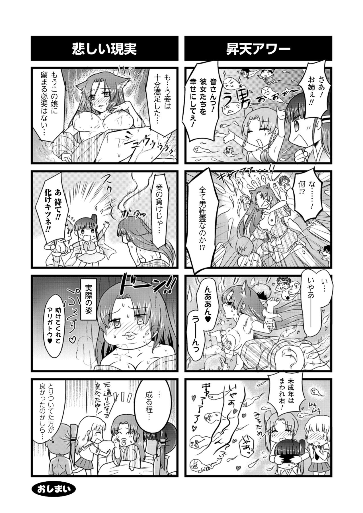2Dドリームマガジン2010-12Vol。 55