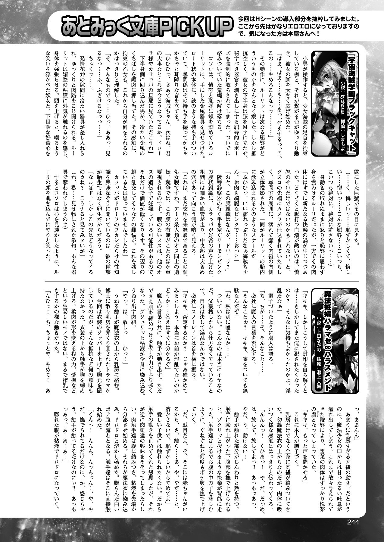 2Dドリームマガジン2010-12Vol。 55