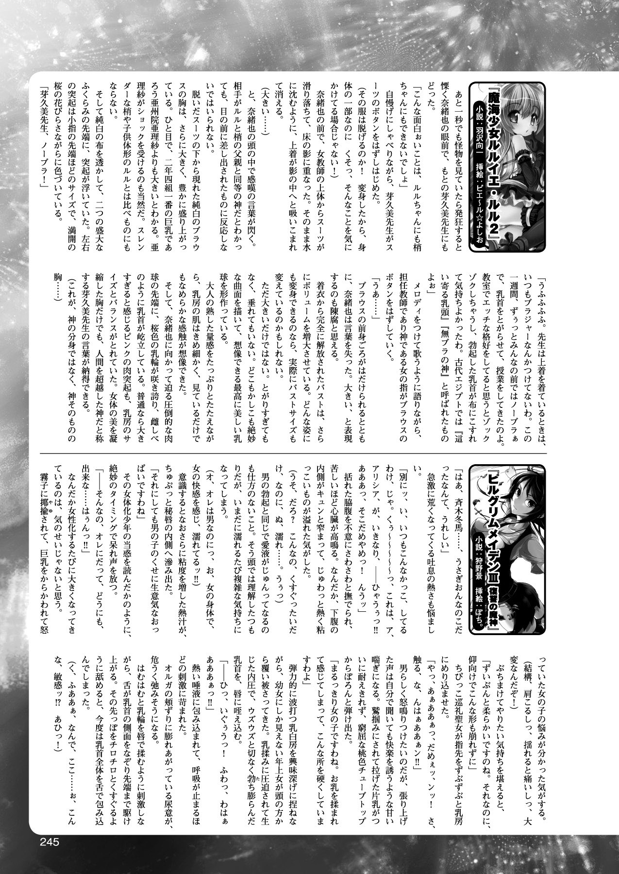 2Dドリームマガジン2010-12Vol。 55