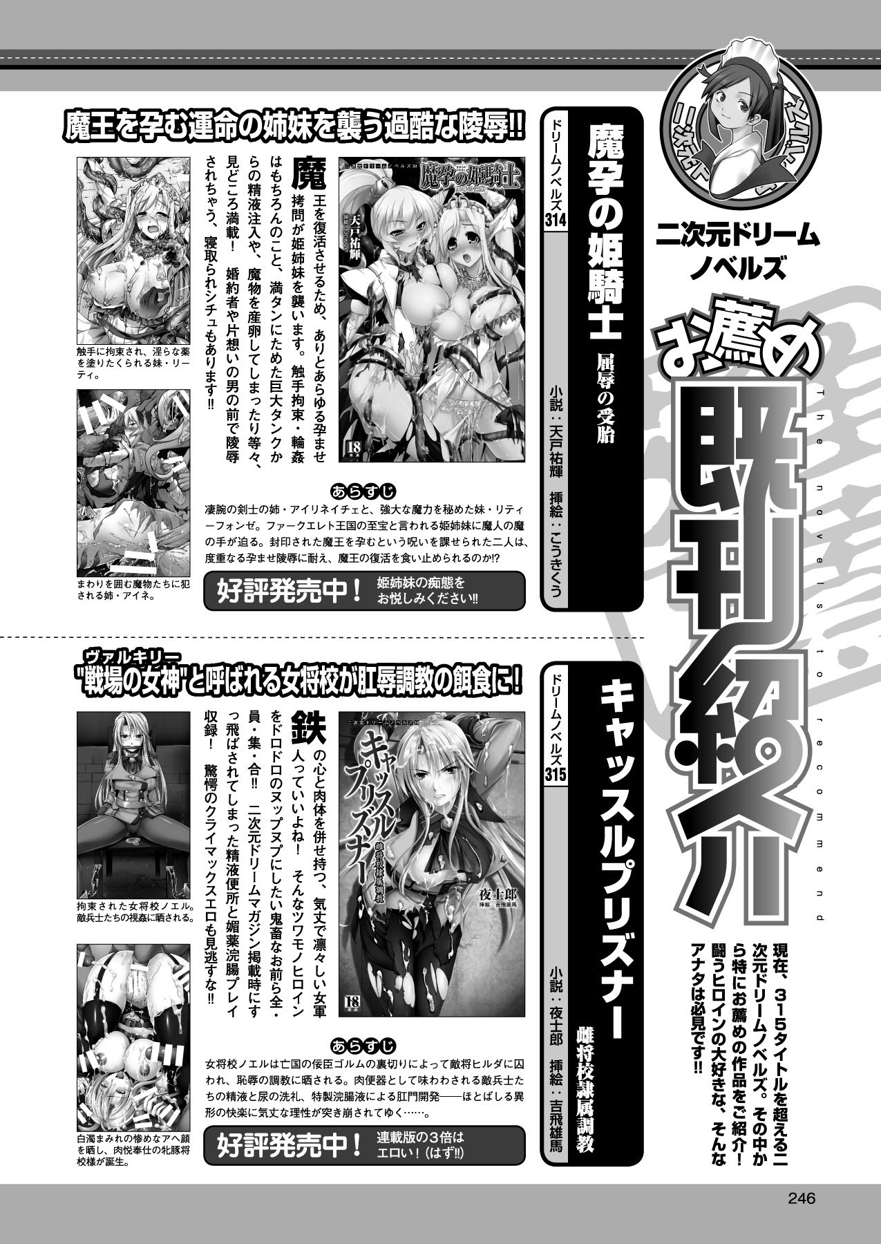 2Dドリームマガジン2010-12Vol。 55
