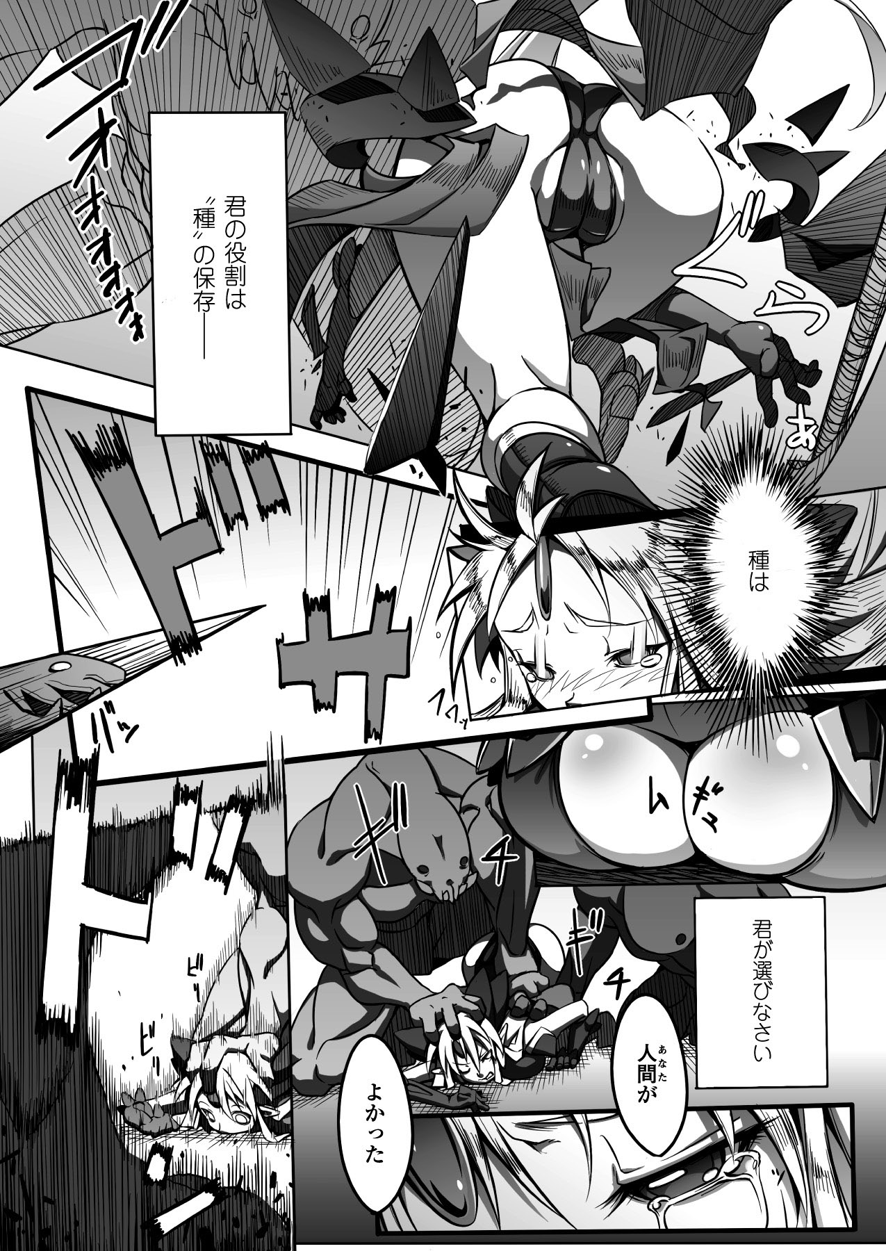 2Dドリームマガジン2010-12Vol。 55