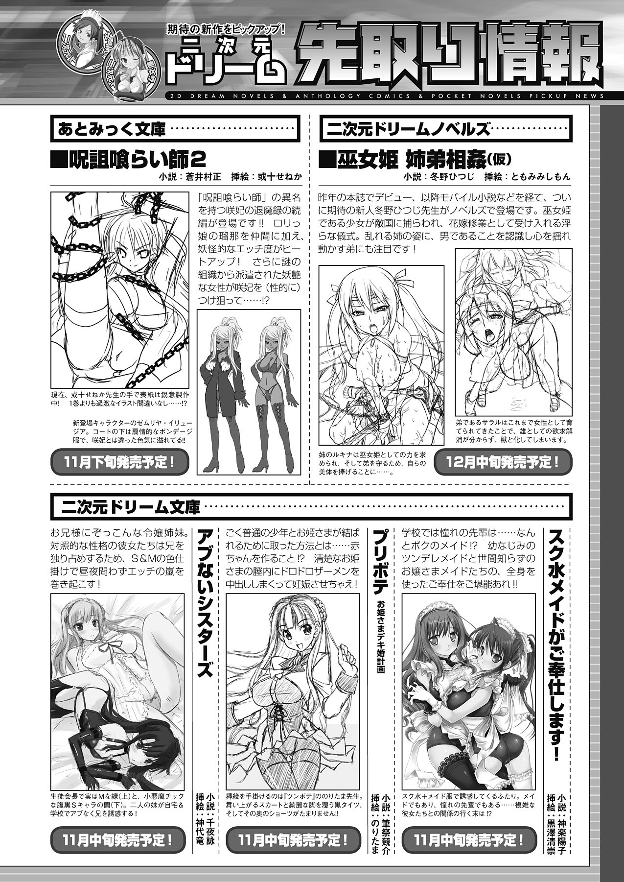2Dドリームマガジン2010-12Vol。 55