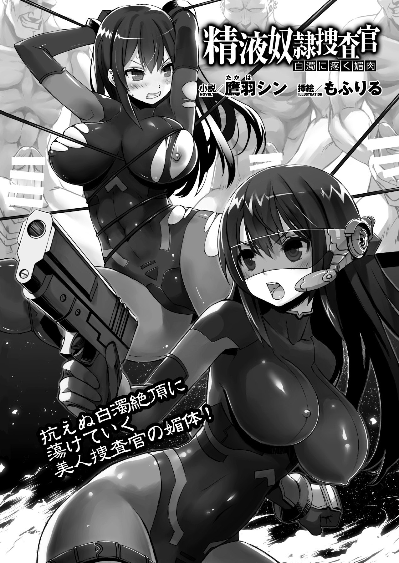 2Dドリームマガジン2010-12Vol。 55