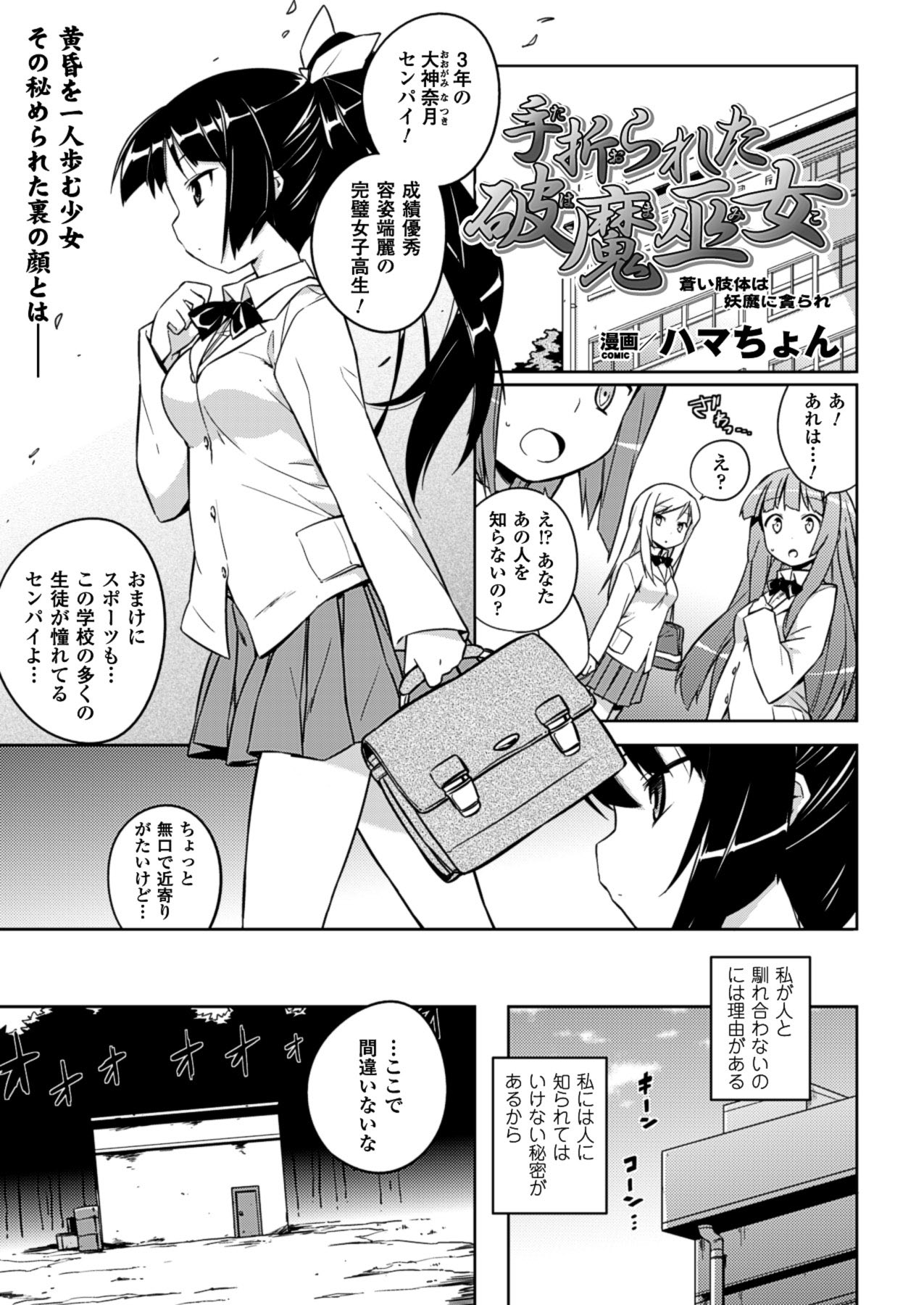 2Dドリームマガジン2010-12Vol。 55