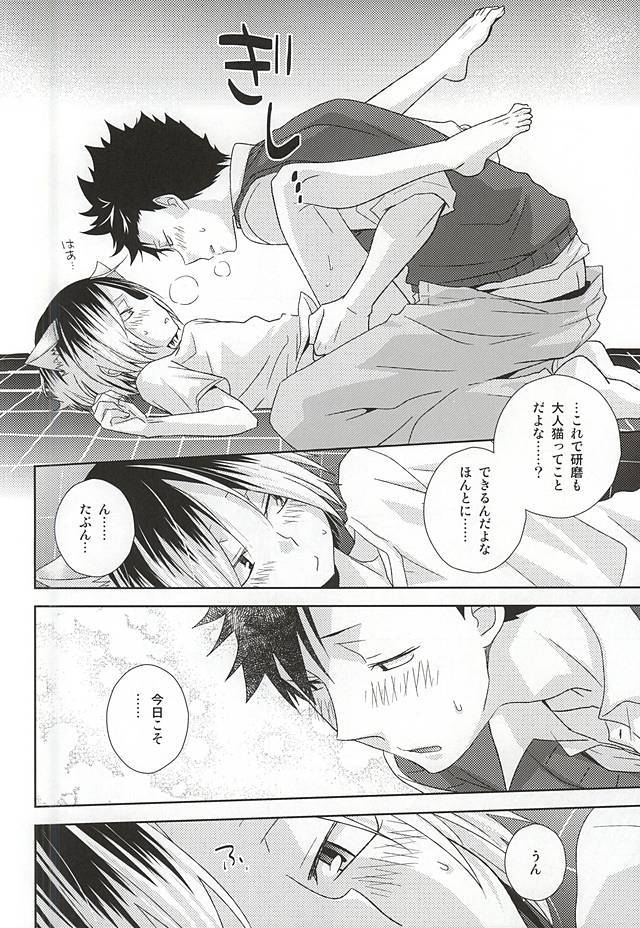 猫男一極のこうびレポート