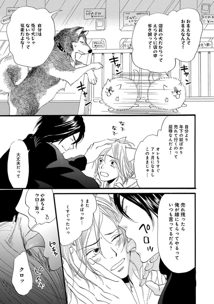 オレはカワイイおととと