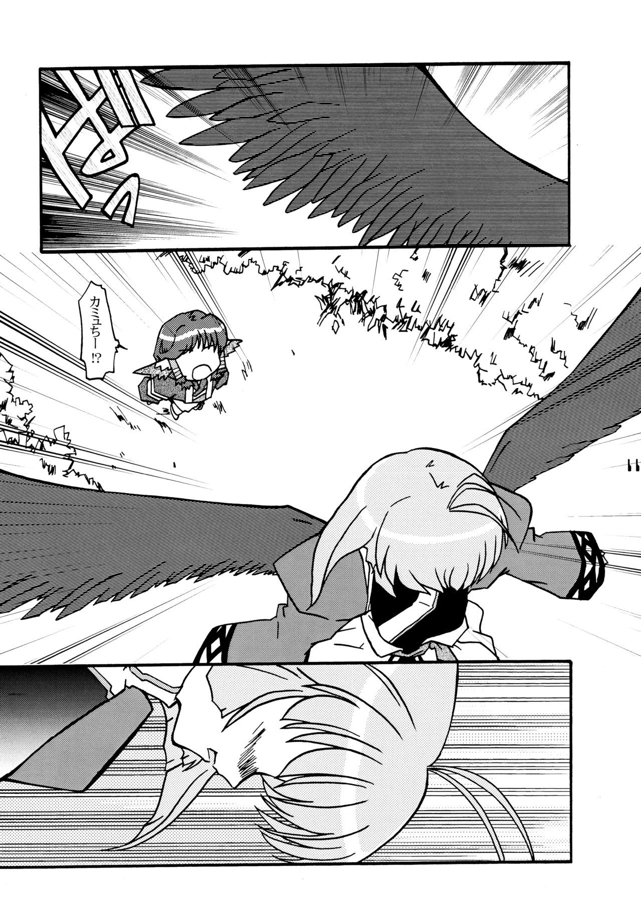 翼あるものもの