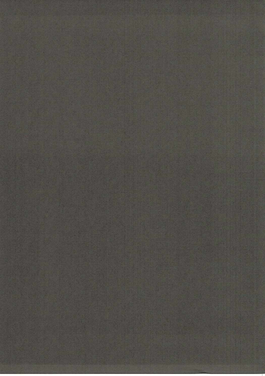 あんぜんなつのこののいじりかた