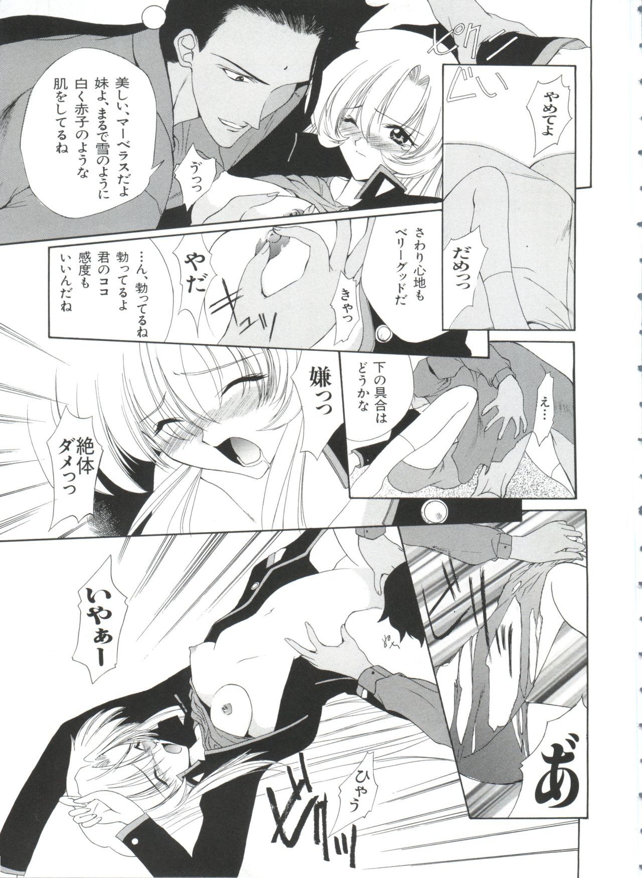 パロパロ奥国1