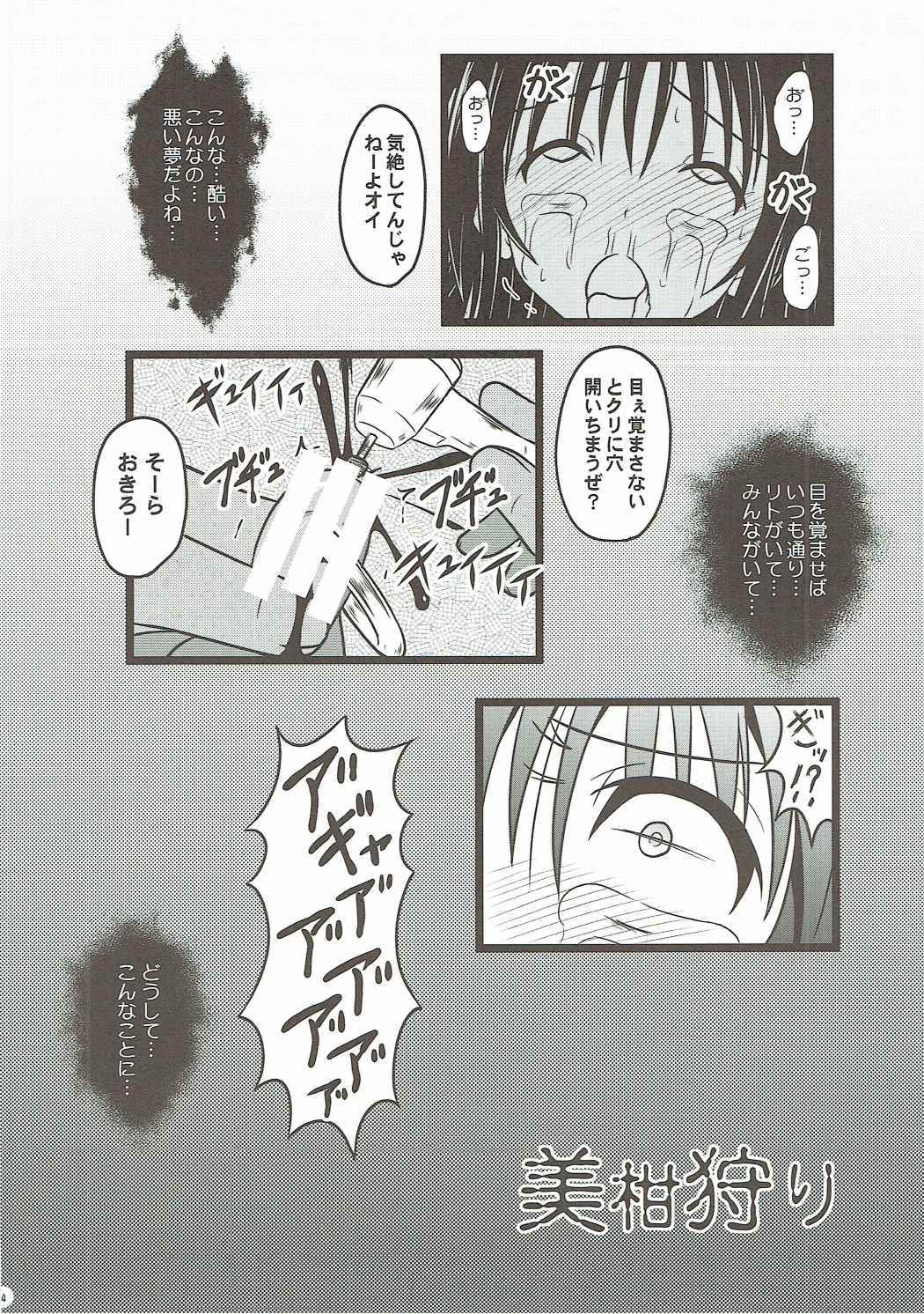 みかんかり