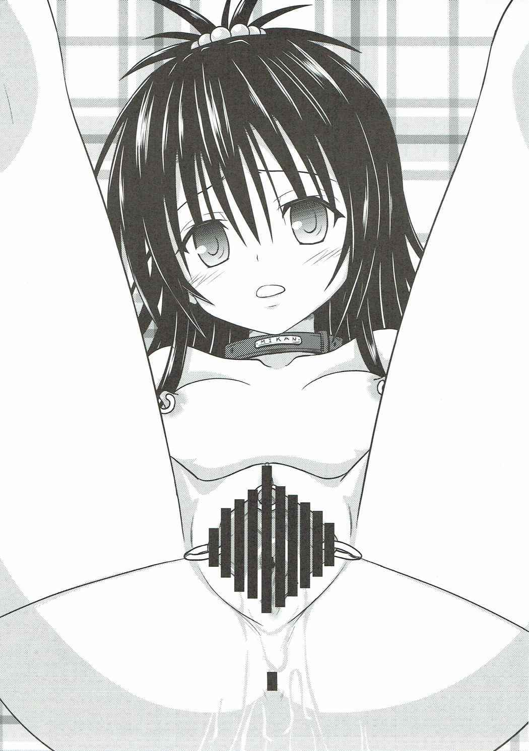 みかんかり