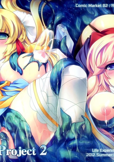 リバースプロジェクト2 リバースプロジェクト2
