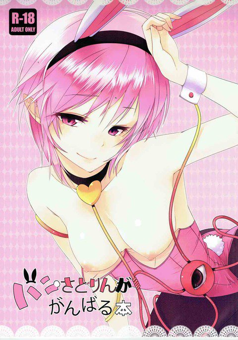 うさぎさとりんががんばる本 うさぎさとりんががんばる本