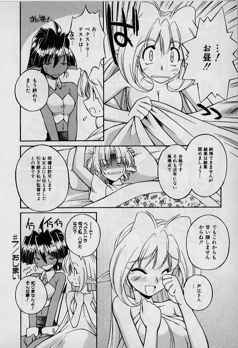 聖デモニッシュナイト