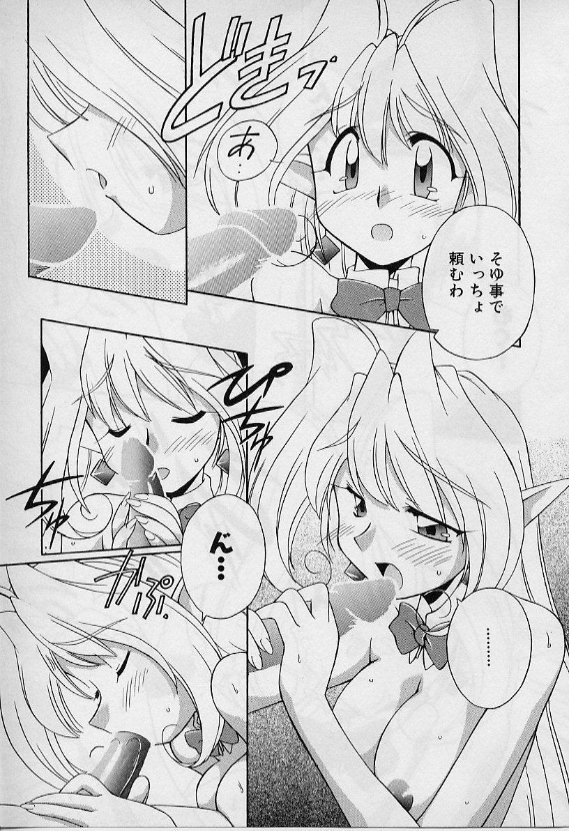 聖デモニッシュナイト