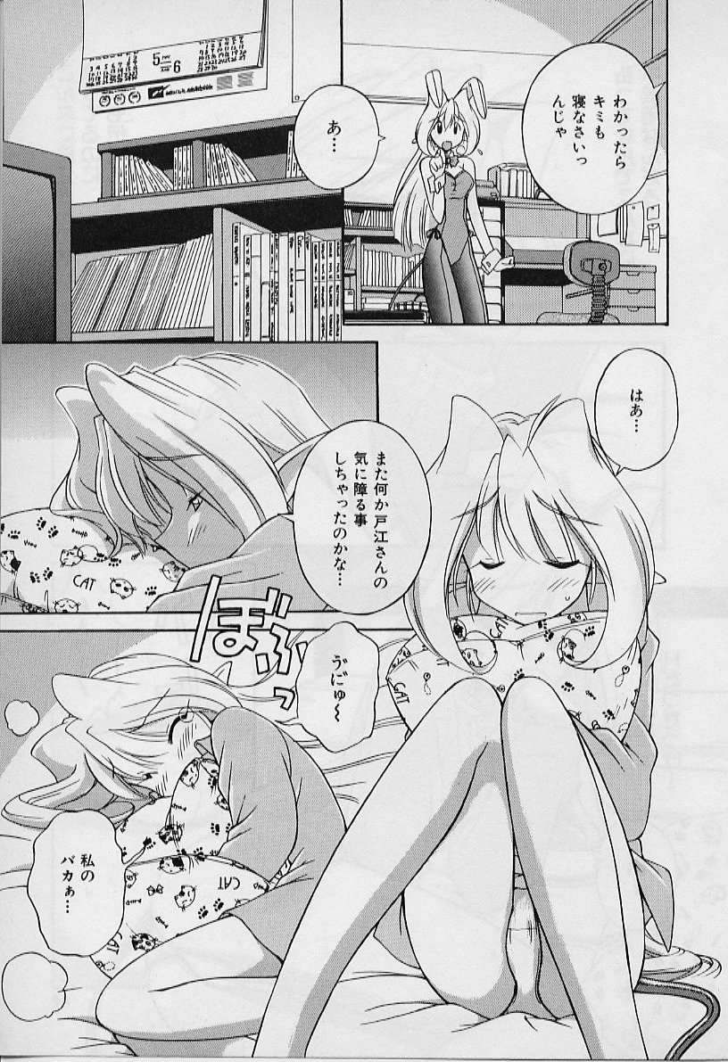 聖デモニッシュナイト