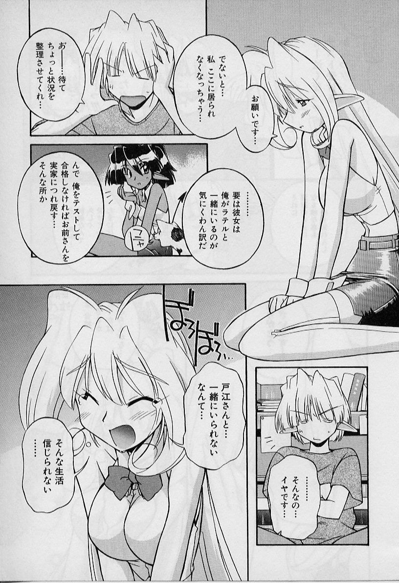 聖デモニッシュナイト