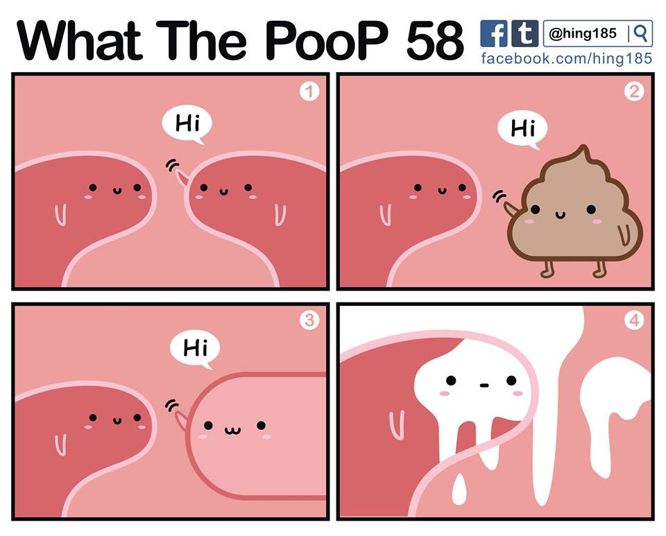 何のうんち