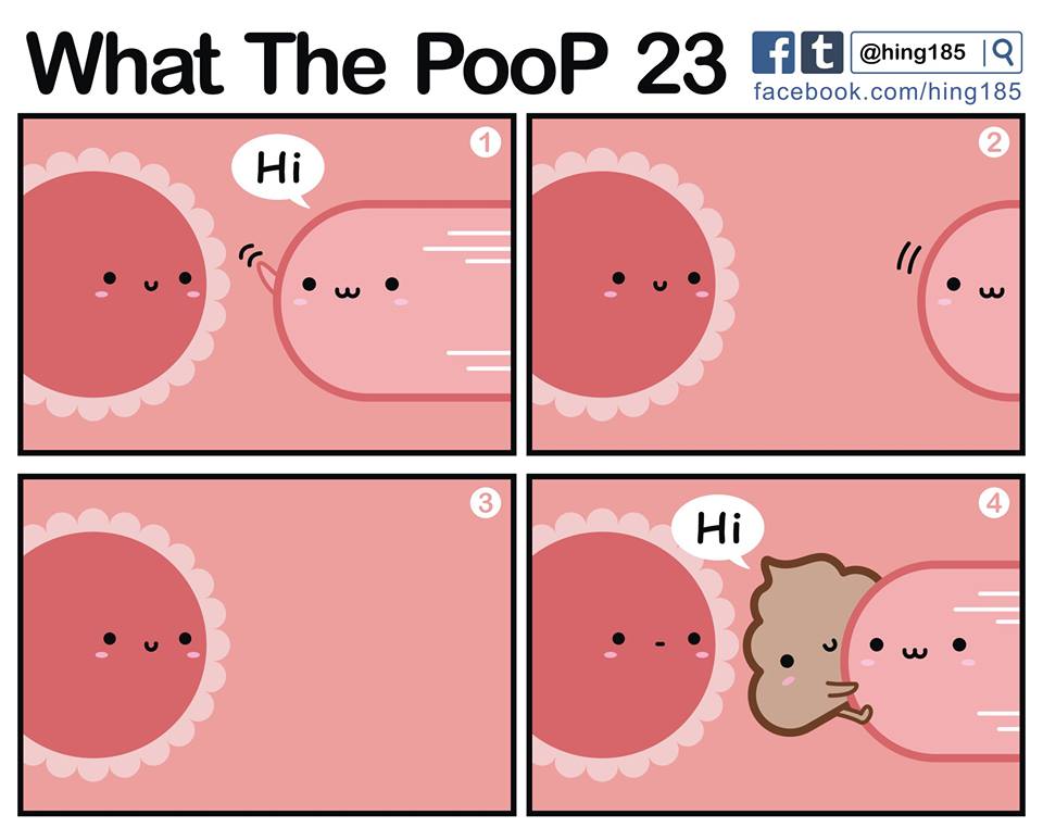 何のうんち