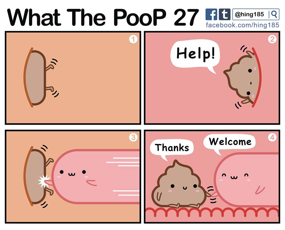 何のうんち
