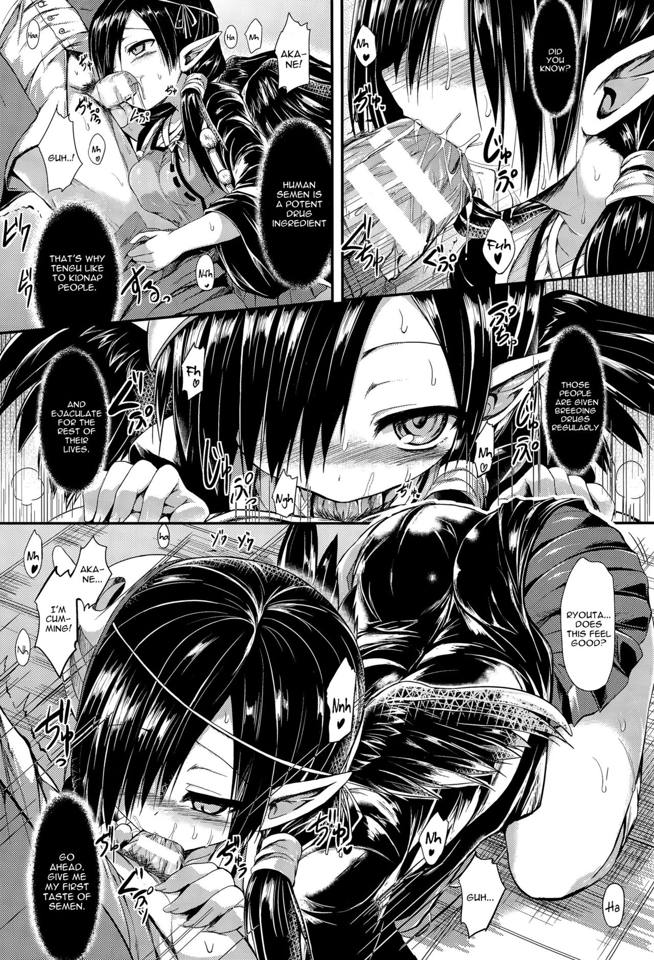 おさななじみの銀の羽