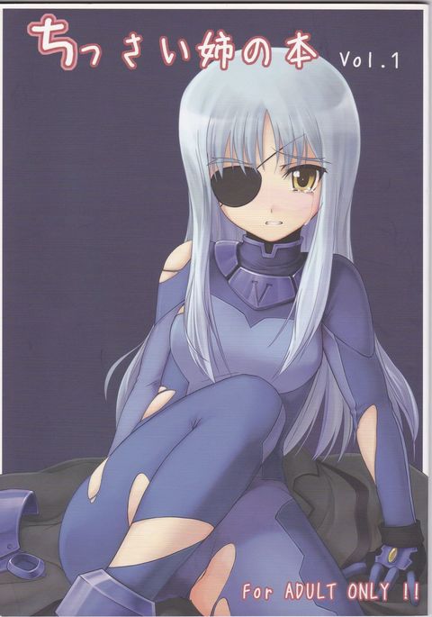 ちっさいあねの本vol。 1 ちっさいあねの本vol。 1