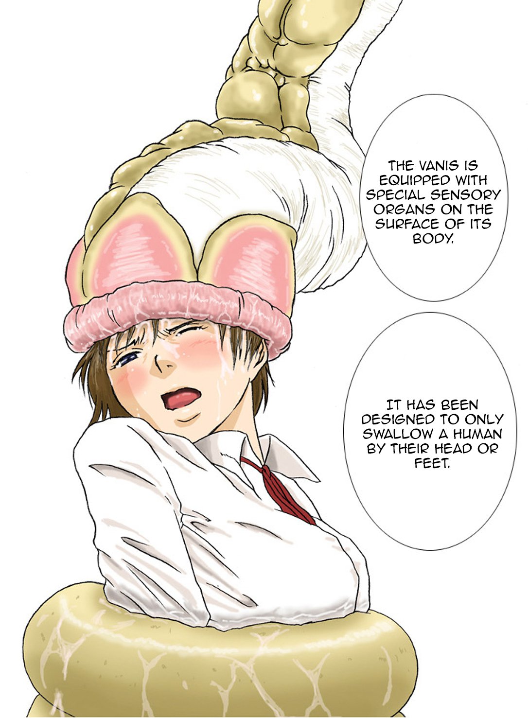 P045-02バニスレポート