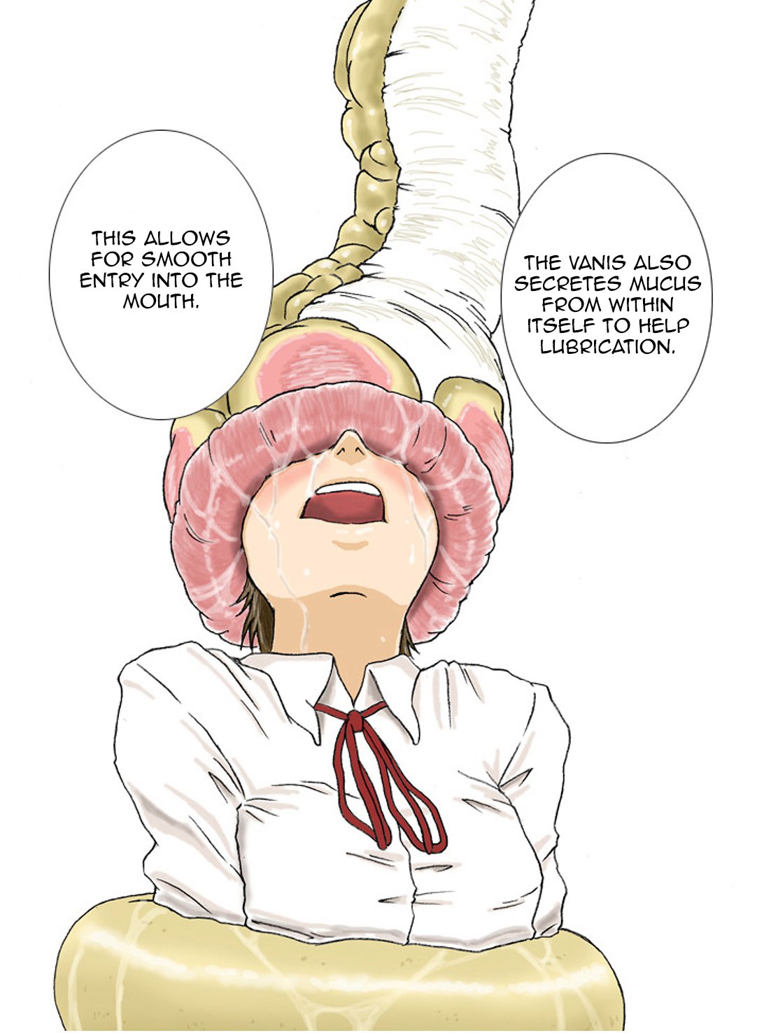 P045-02バニスレポート