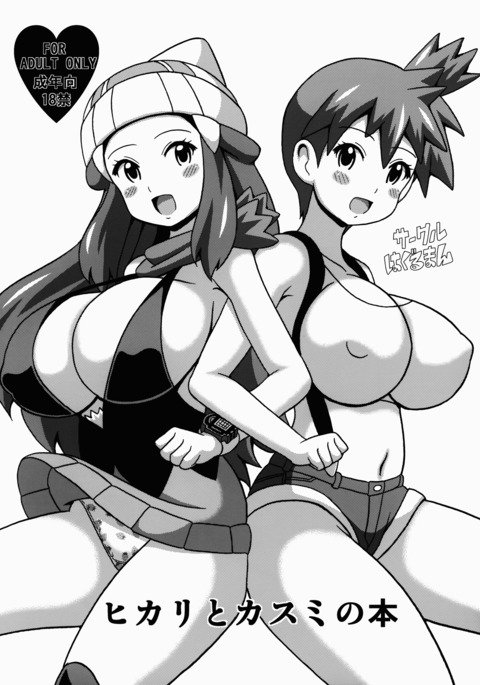 ひかりとかすみの本 ひかりとかすみの本