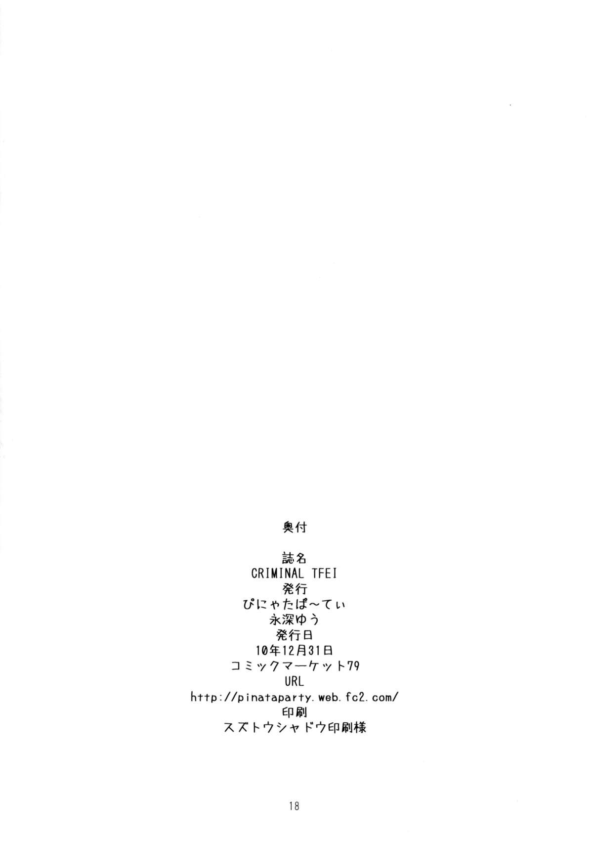 刑事TFEI