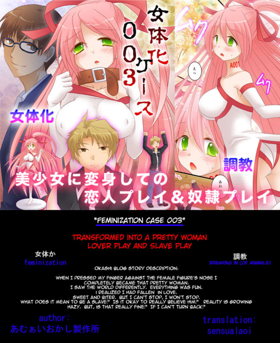 女性化ケース0003 女性化ケース0003