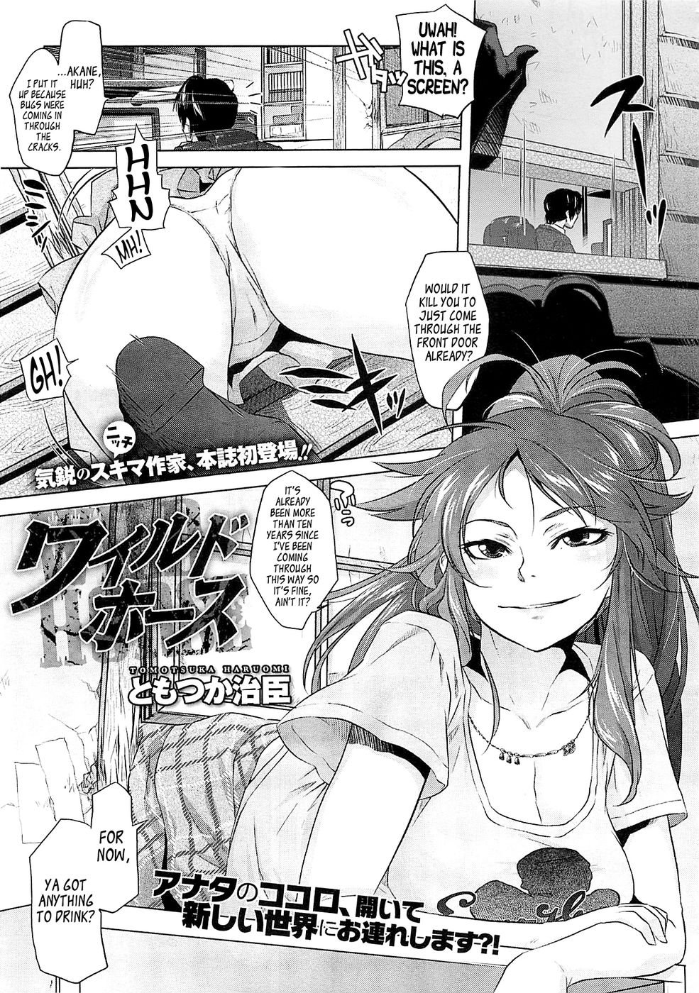 野生の馬 野生の馬