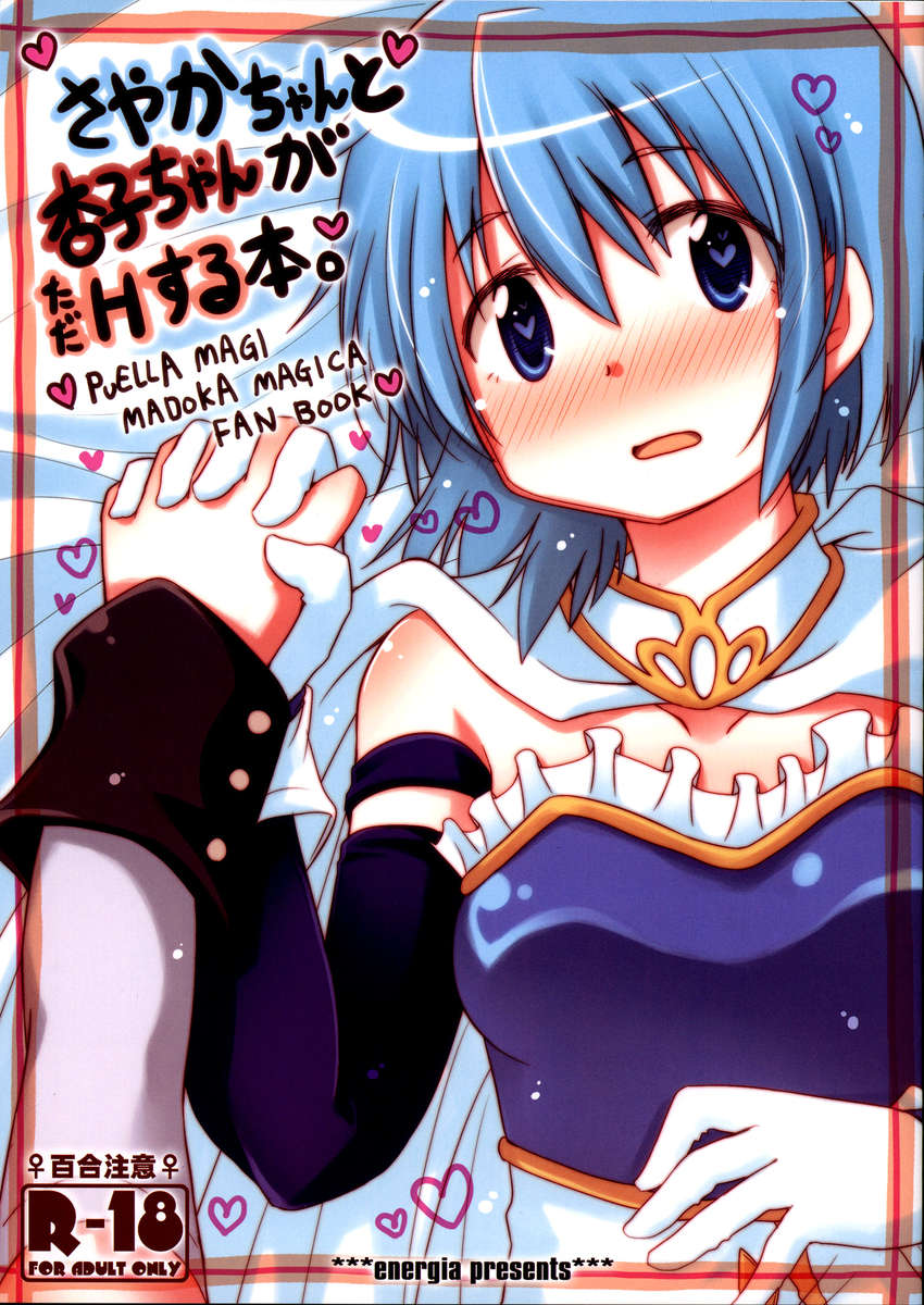 さやかちゃんと京子ちゃんがセックスするだけの本。 さやかちゃんと京子ちゃんがセックスするだけの本。