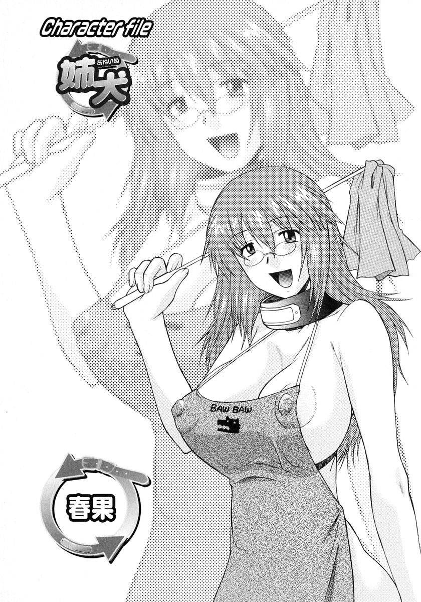 アネイヌCh1-2
