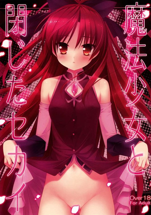 魔法少女と閉ざされた世界