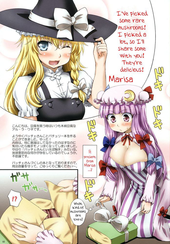 おお！パチョリとマリサのきのこ