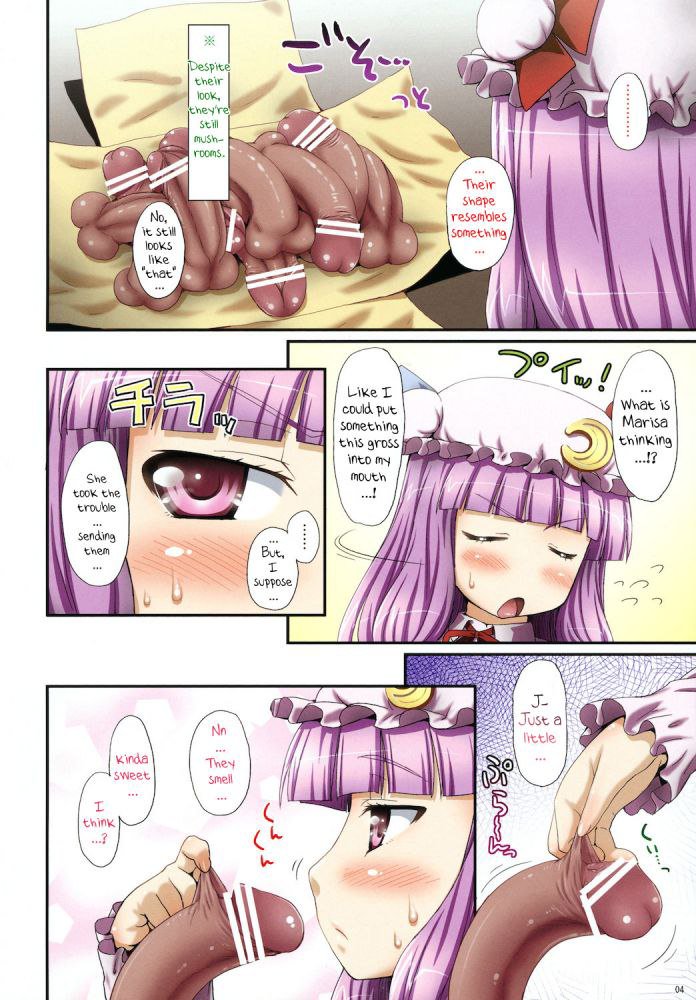 おお！パチョリとマリサのきのこ