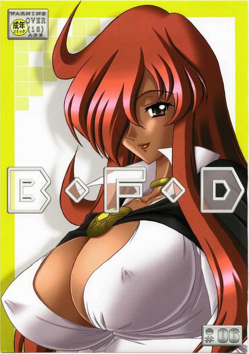 B.F.D 06 B.F.D 06