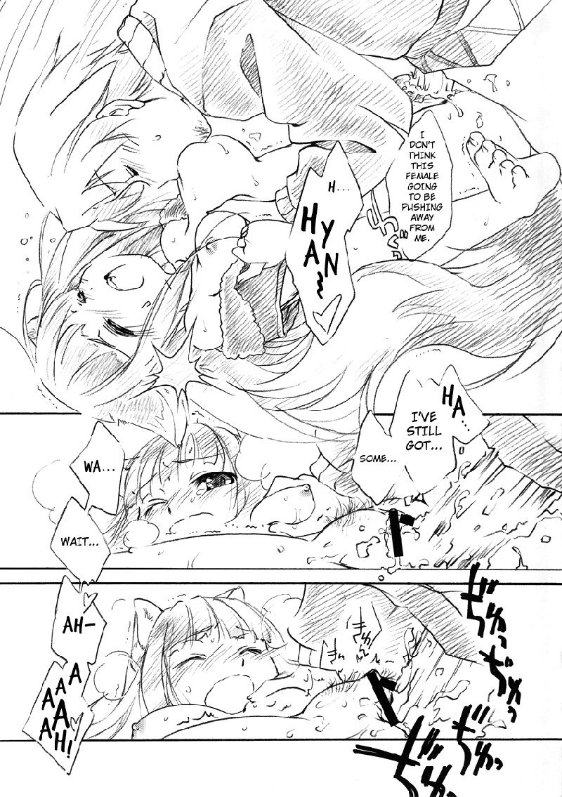 オオカミとわだち掘れの季節