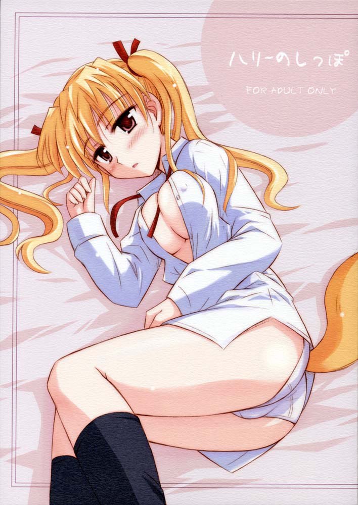 はりのしっぽ はりのしっぽ